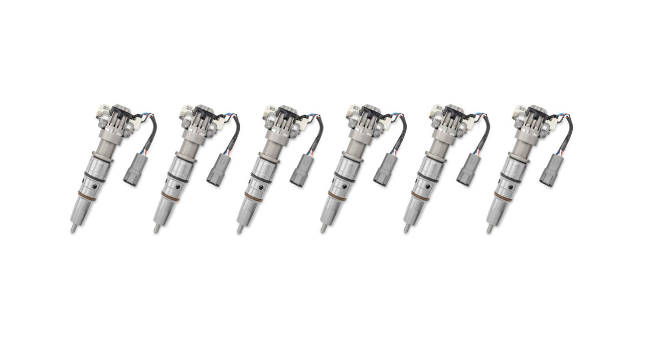 2010-2014 MaxxForce DT G2.9 Fuel Injector - Set of Six (6) Rebuild Service