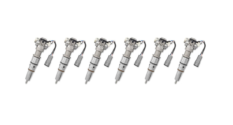 2007-2010 MaxxForce DT G2.9 Fuel Injector - Set of Six (6) Rebuild Service